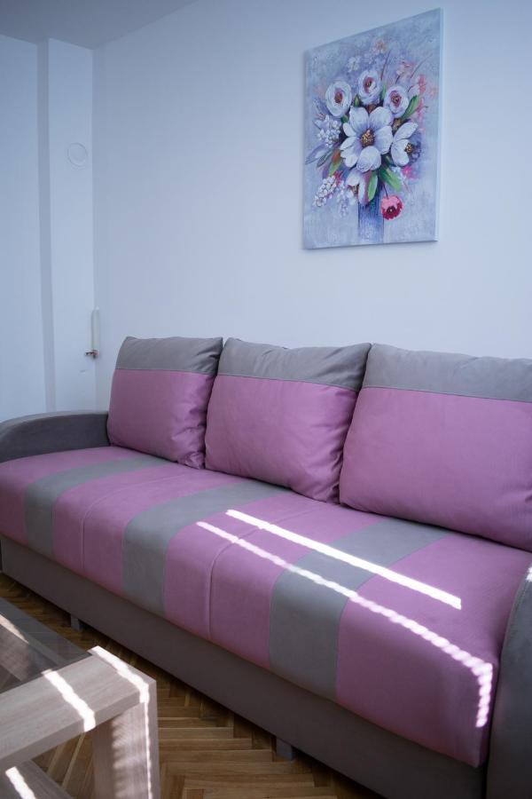 Gerardus Apartmani Vrsac Buitenkant foto